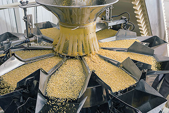 Automated food factory making fresh pasta.