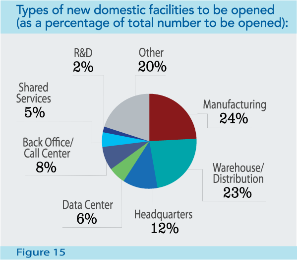 Figure 15: Types of new domestic facilities to be opened (as a percentage of total number to be opened)