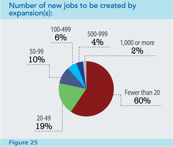 Figure 25: Number of new jobs to be created by expansion(s)