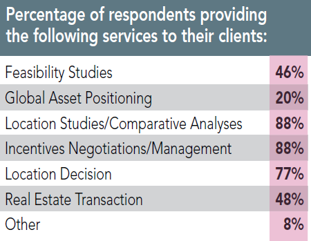 12th Annual Consultants Survey Results - Chart B