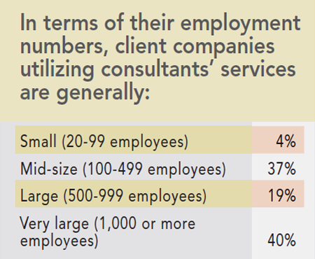 13th Annual Consultants Survey Results - Chart C