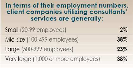 14th Annual Consultants Survey Results-Chart 3