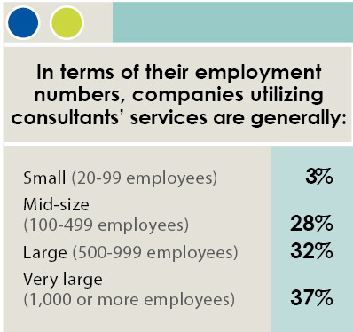 16th Annual Consultants Survey-Chart 3