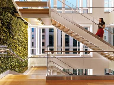 The law offices of Nixon Peabody in Washington, D.C., maximize daylighting and interior plant life, as well as providing access to stairs that promote employee movement and wellness.